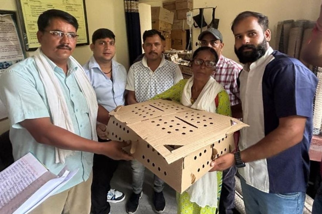 Screenshot_20250830_074522_WhatsApp