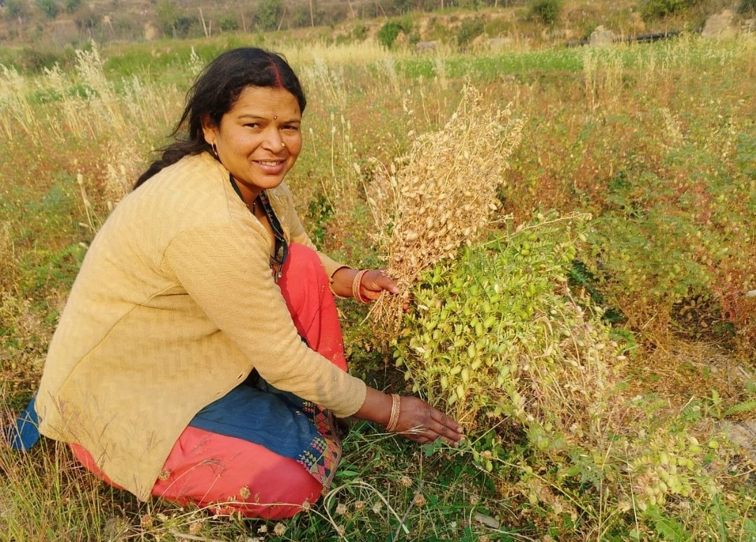 Screenshot_20250904_090736_WhatsApp