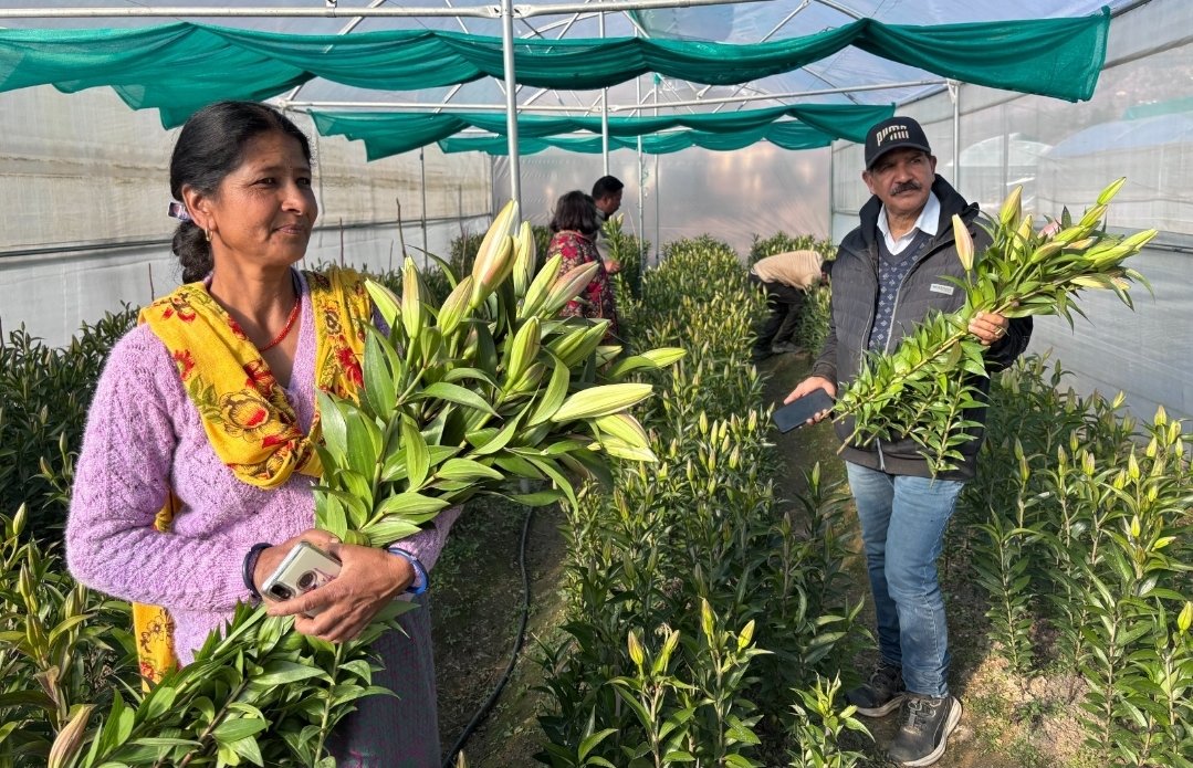 Screenshot_20250915_094946_WhatsApp