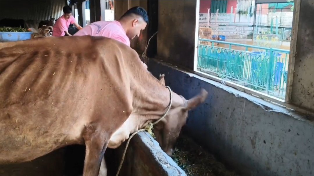 Screenshot_20251022_155244_Gallery