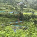 IMG-20260925-WA0006